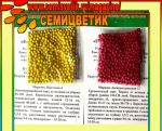 Морковь ДРАЖЕ Нантская 4 (300шт семян)